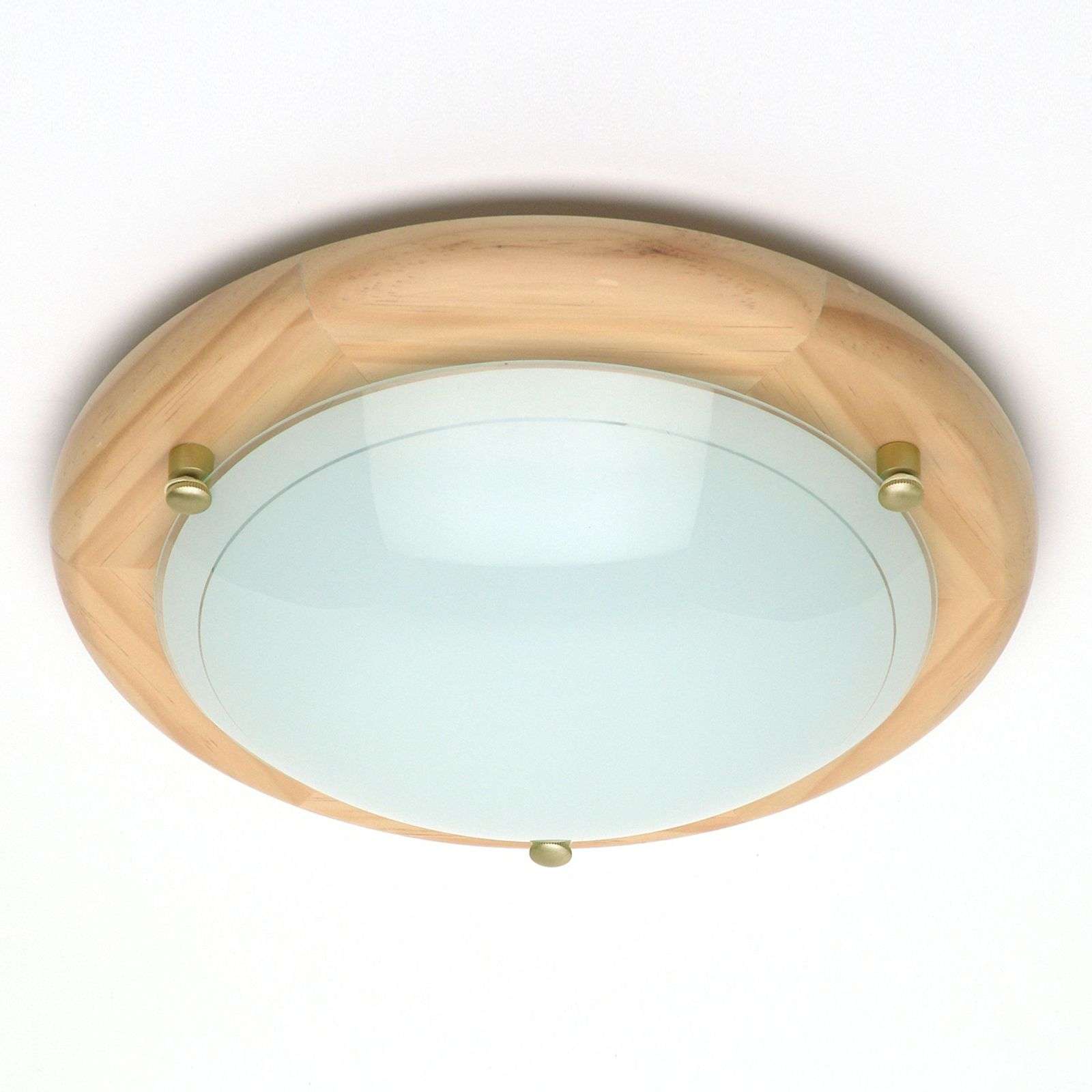 Merellinen Fidschi-kattovalaisin mäntyä