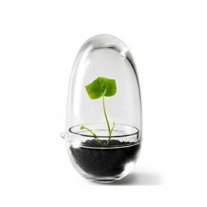 Design House Stockholm Grow-idätysastia Pieni ø8 cm