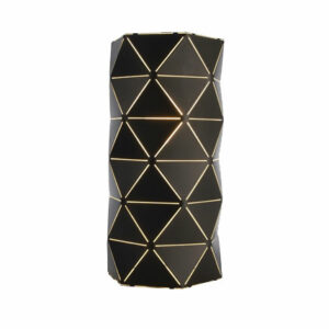 Seinävalaisin Asterope