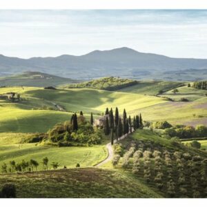 Canvas taulu Tuscany 80x120 cm