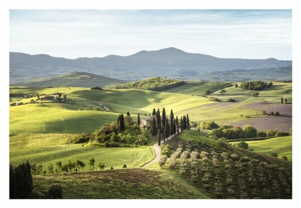 Canvas taulu Tuscany 80x120 cm